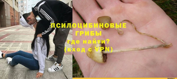 apvp Алексеевка