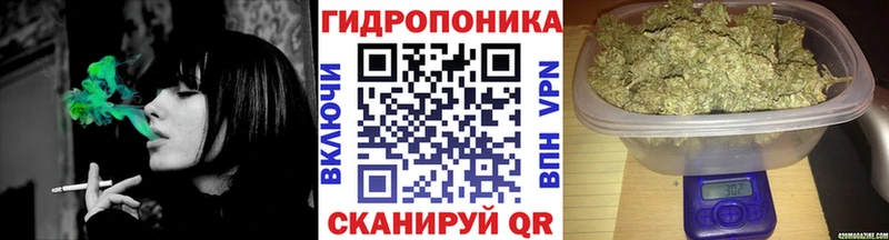 hydra ССЫЛКА  Ленинск  Шишки марихуана планчик  купить наркотики сайты 